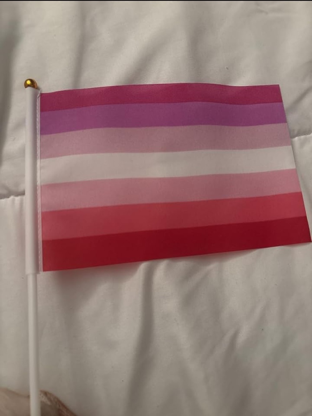 Amazon Pink to Purple Striped Flags